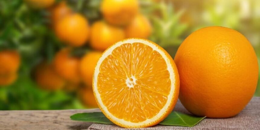 Orangîa