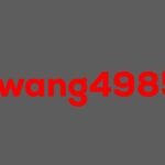 laowang4985 se