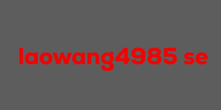 laowang4985 se