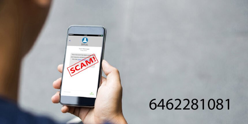 6462281081