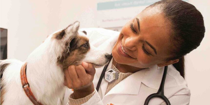 Veterinary Translation