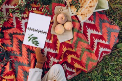 How to Choose the Best Large Outdoor Picnic Rug for Your Family?