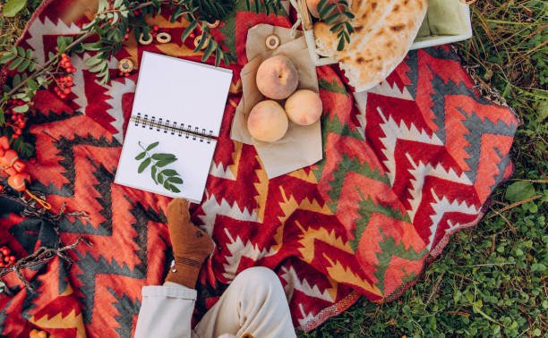 How to Choose the Best Large Outdoor Picnic Rug for Your Family?