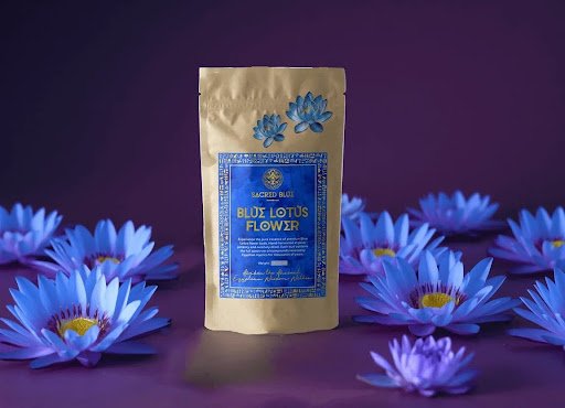 Egyptian Blue Lotus Flowers