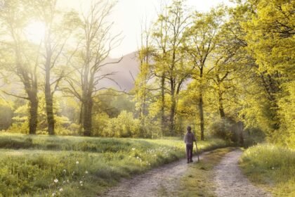 The Rise of Holistic Health Practices