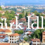 Türk Idla