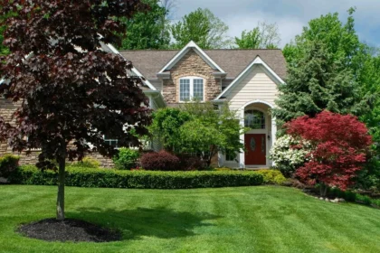 Your Lawn