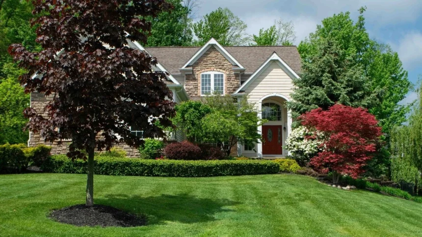 Your Lawn
