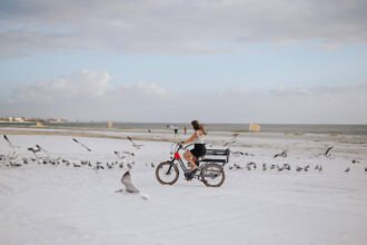 A Guide to Choosing the Perfect Cargo eBike