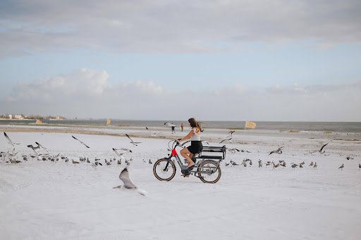 A Guide to Choosing the Perfect Cargo eBike