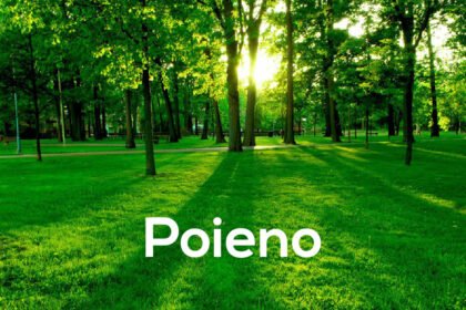Poieno