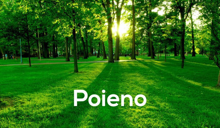 Poieno